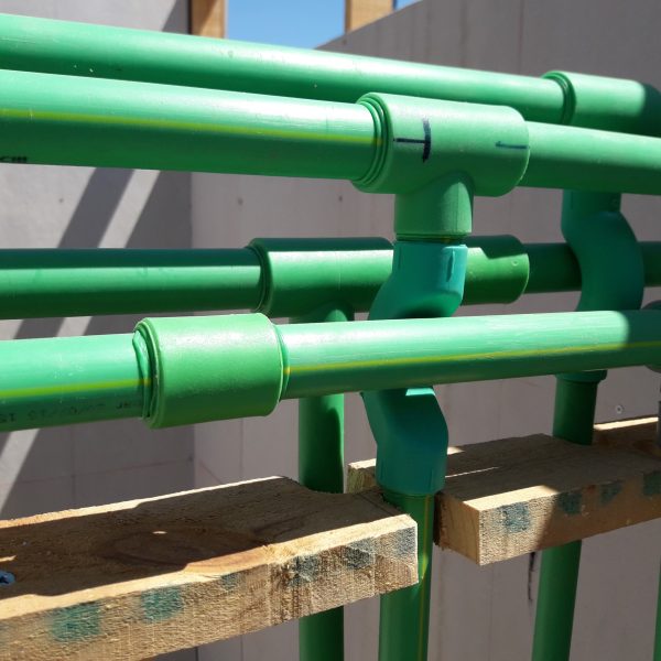 4B PPR detalle encuentro tuberi╠üas