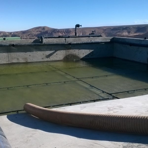 piscina HDPE6